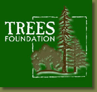 Trees Foundation Logo